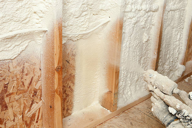 Best Basement Insulation in Bellevue, WI